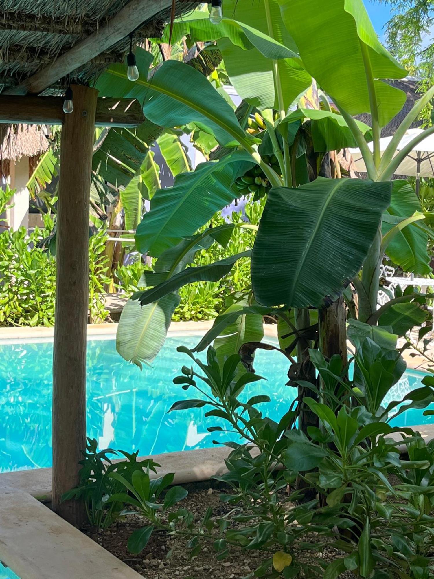 Villas Tikuch Ngoại thất bức ảnh