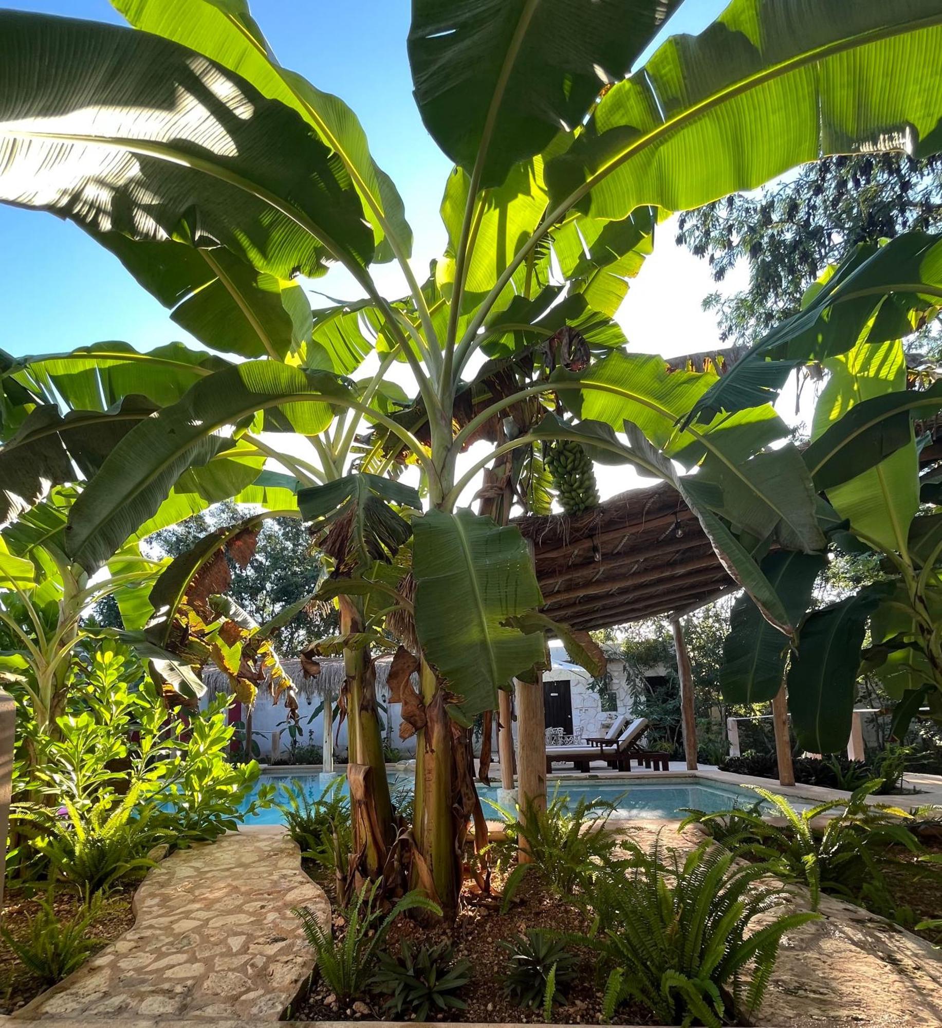 Villas Tikuch Ngoại thất bức ảnh